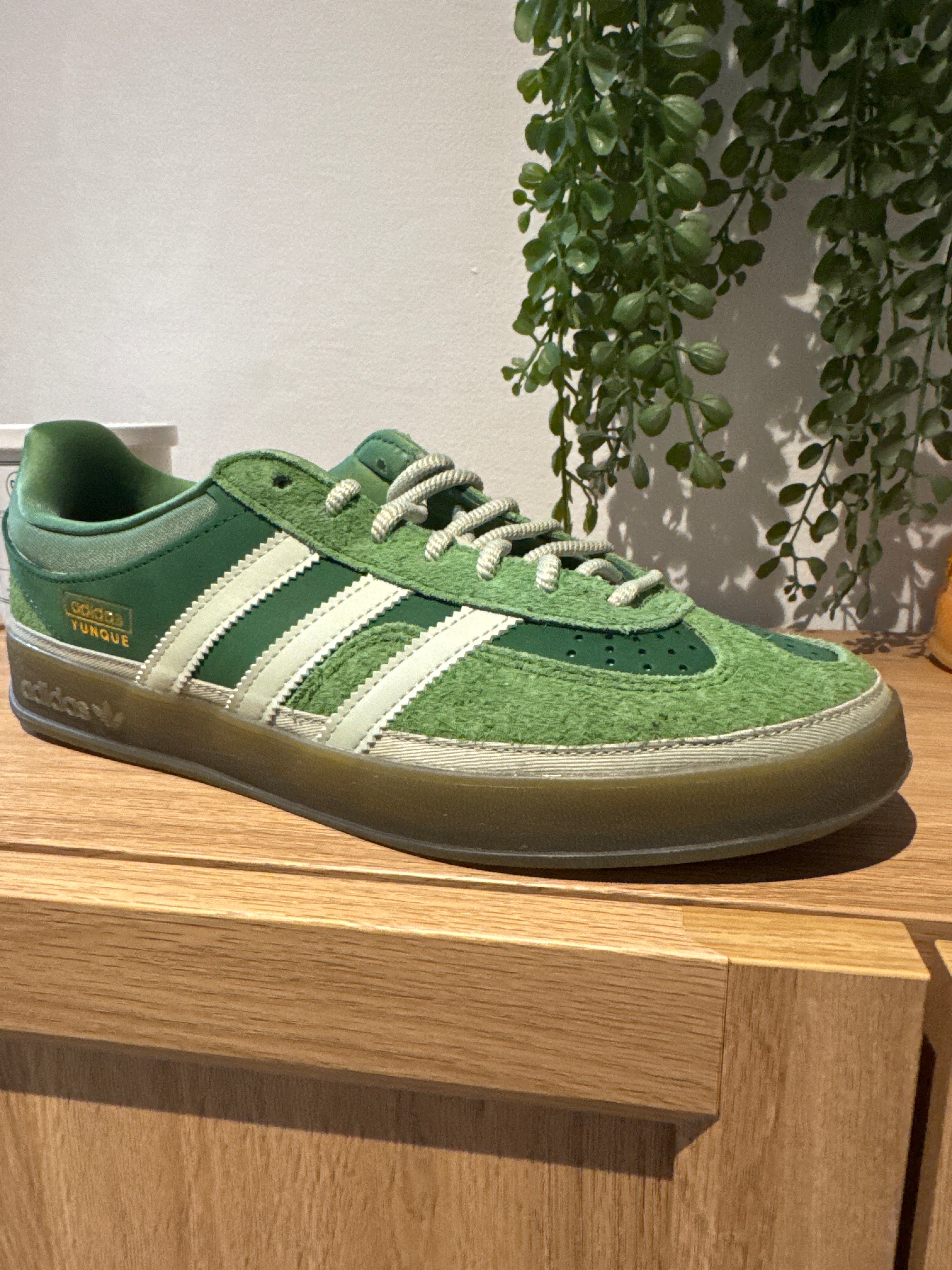DS Bad Bunny Yunque Gazelle JS5049