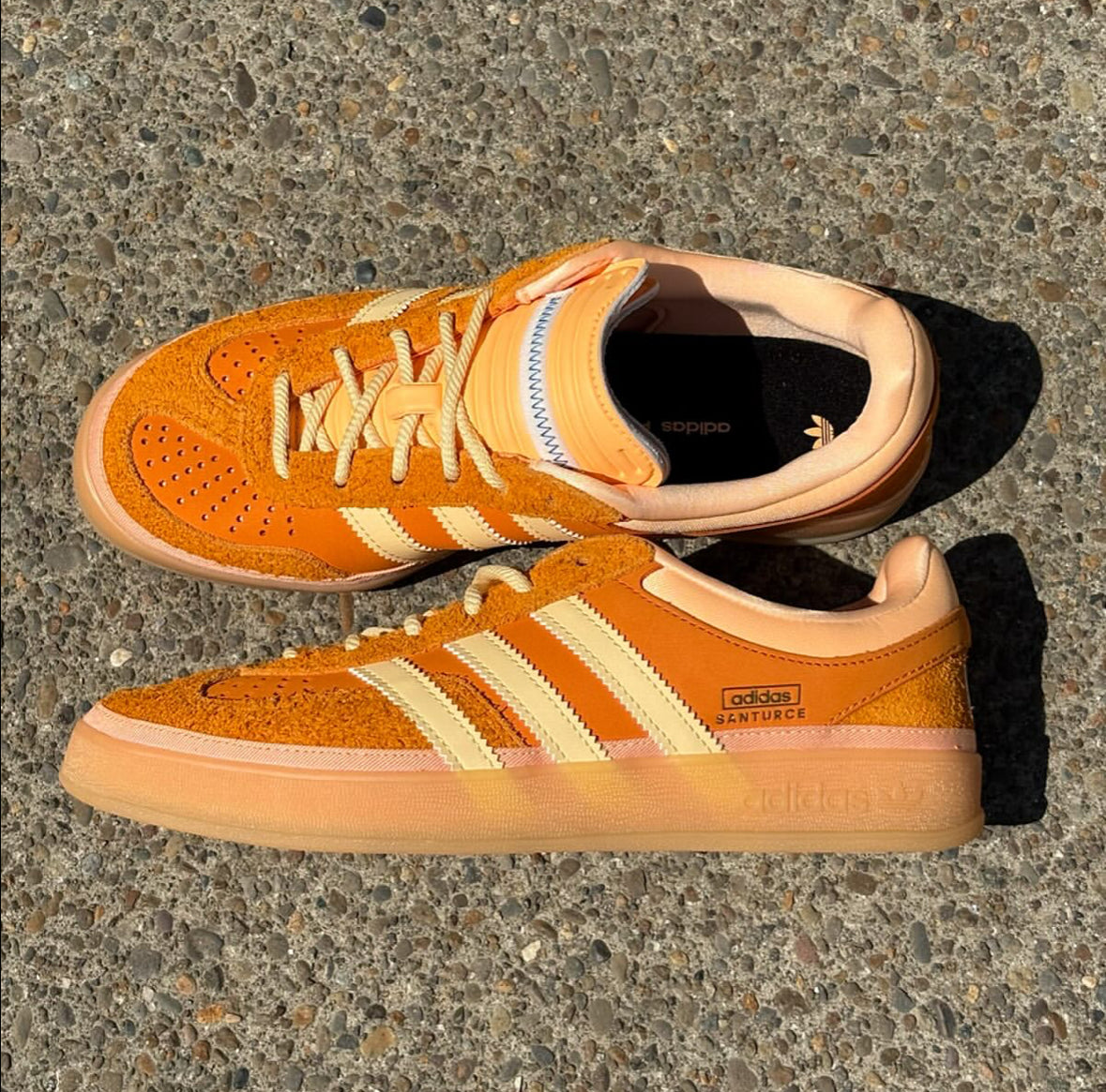 DS Bad Bunny Santurce Gazelle JS5050