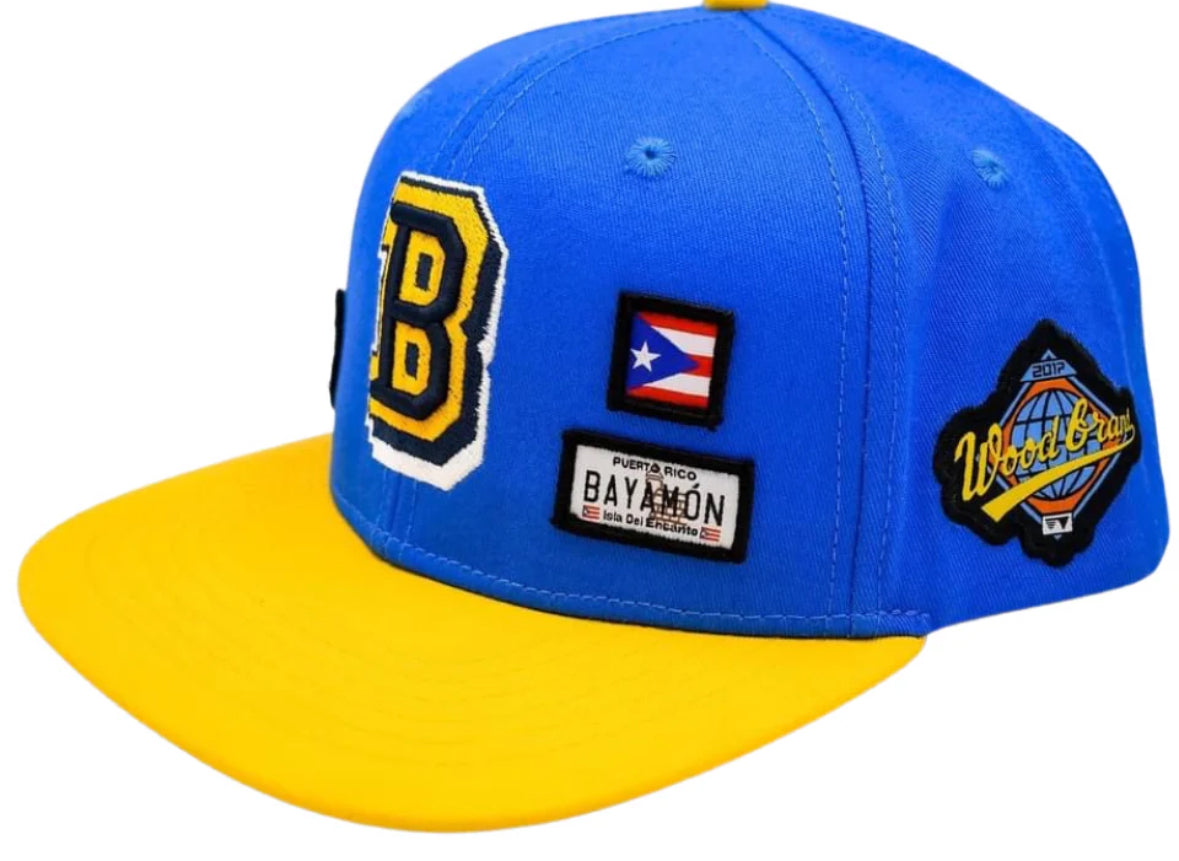 Woodbrand Bayamon PR Hoops