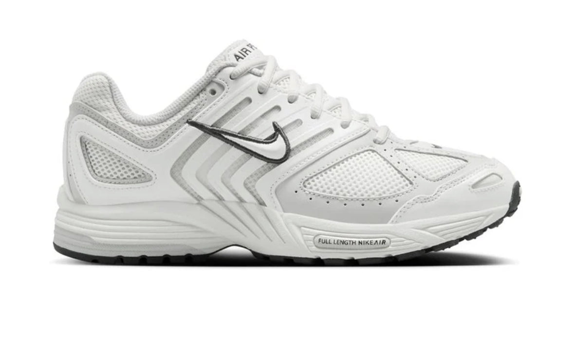 DS W Nike Air Pegasus 2005